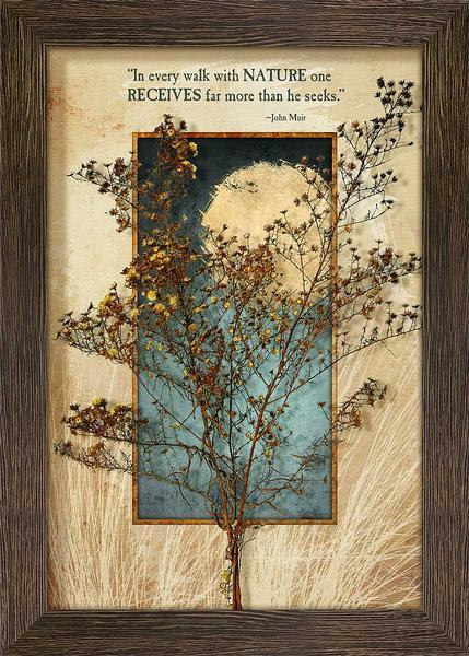 Roadside Beauty—Yellow Rocket Multimedia Wall Art - Wild Wings