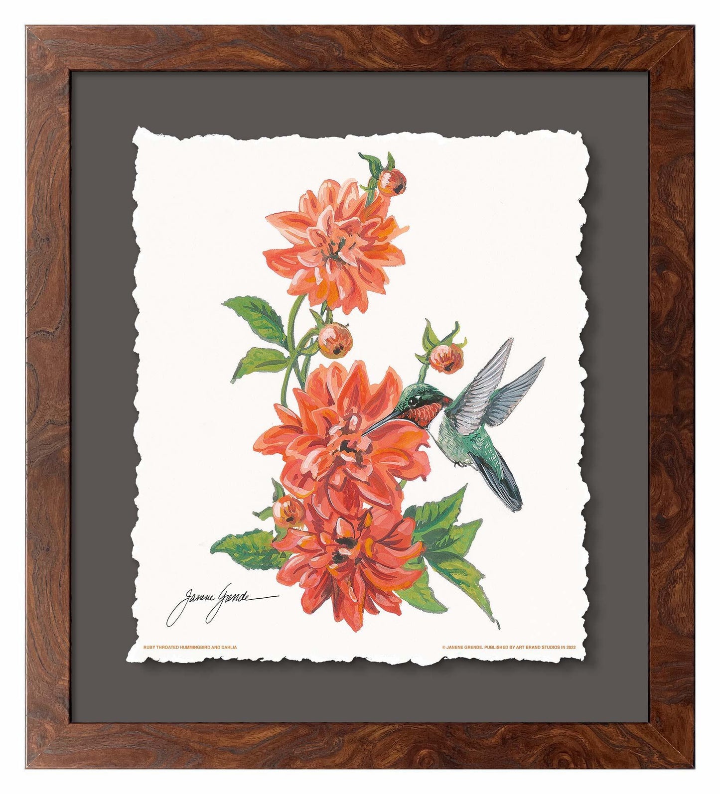 Ruby Throat & Dahlia Deckled Edge Paper Print - Wild Wings