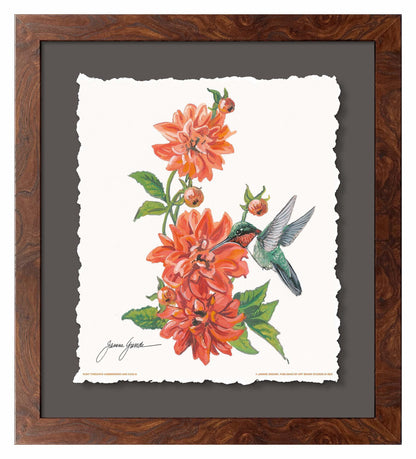 Ruby Throat & Dahlia Deckled Edge Paper Print - Wild Wings