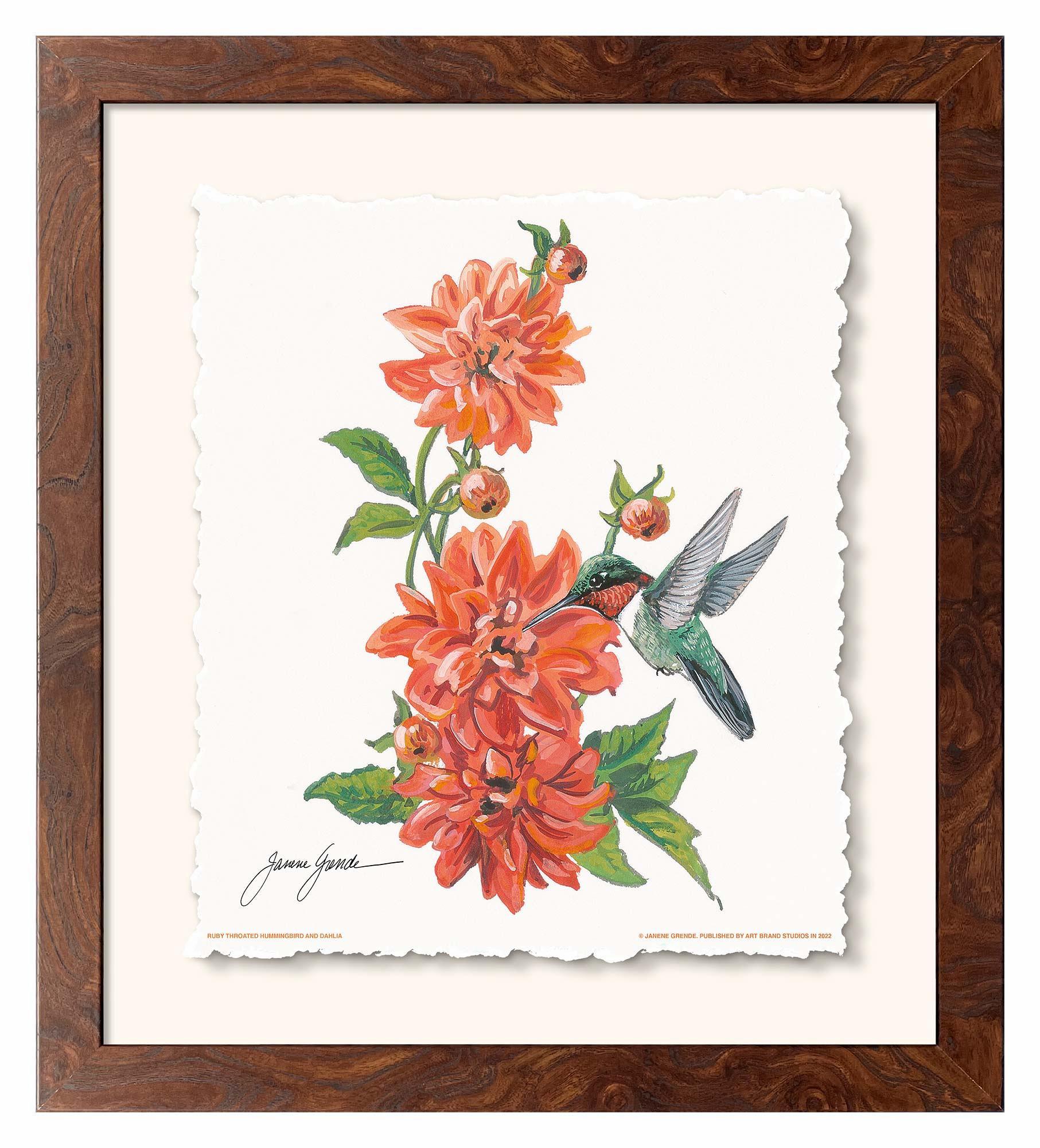 Ruby Throat & Dahlia Deckled Edge Paper Print - Wild Wings