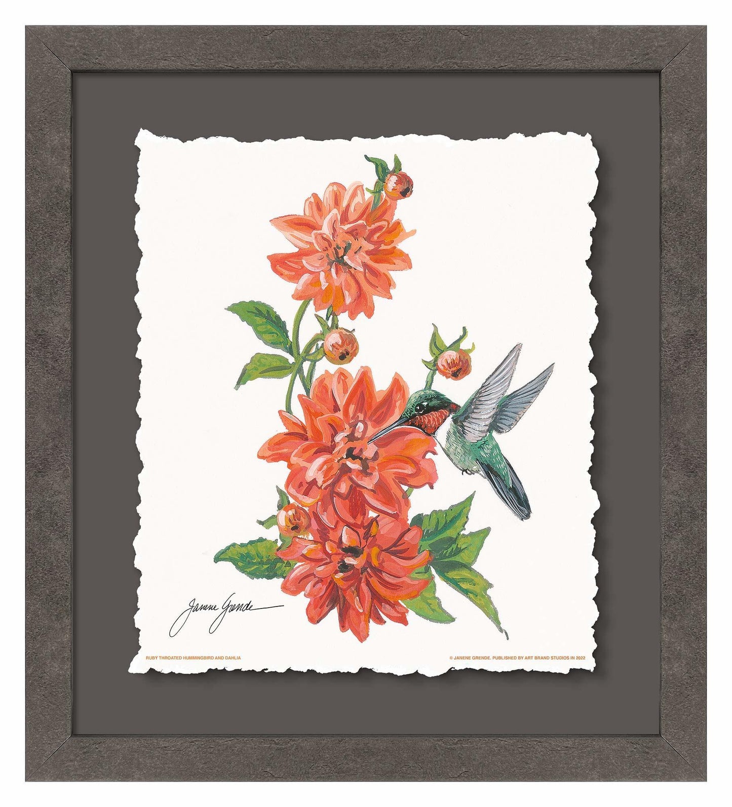 Ruby Throat & Dahlia Deckled Edge Paper Print - Wild Wings