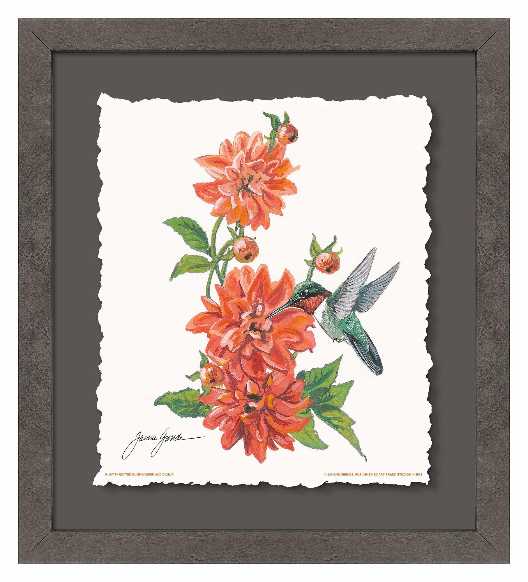 Ruby Throat & Dahlia Deckled Edge Paper Print - Wild Wings