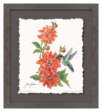 Ruby Throat & Dahlia Deckled Edge Paper Print - Wild Wings