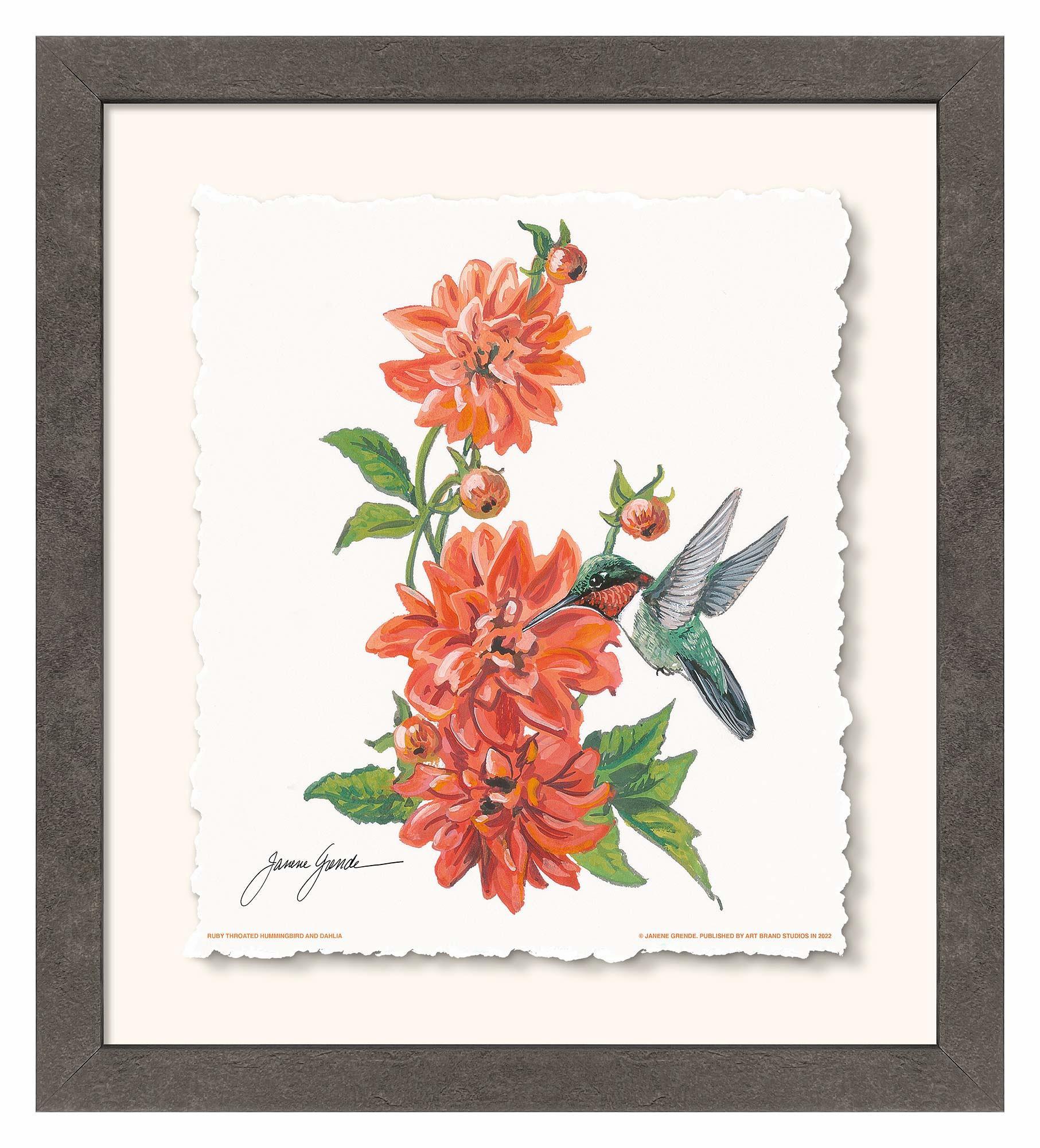Ruby Throat & Dahlia Deckled Edge Paper Print - Wild Wings