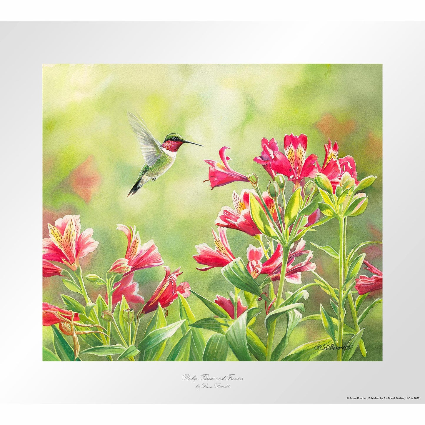 Ruby Throat & Freesias Paper Print - Wild Wings