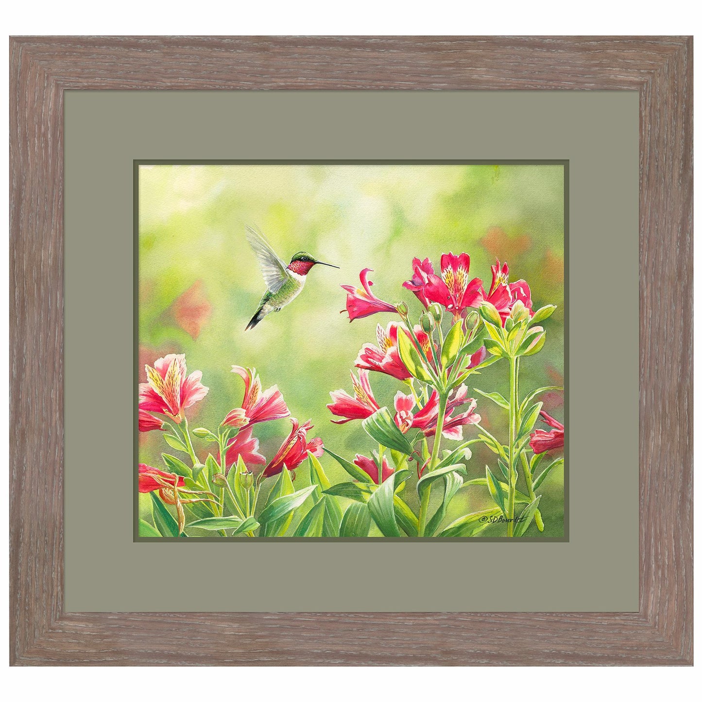 Ruby Throat & Freesias Paper Print - Wild Wings
