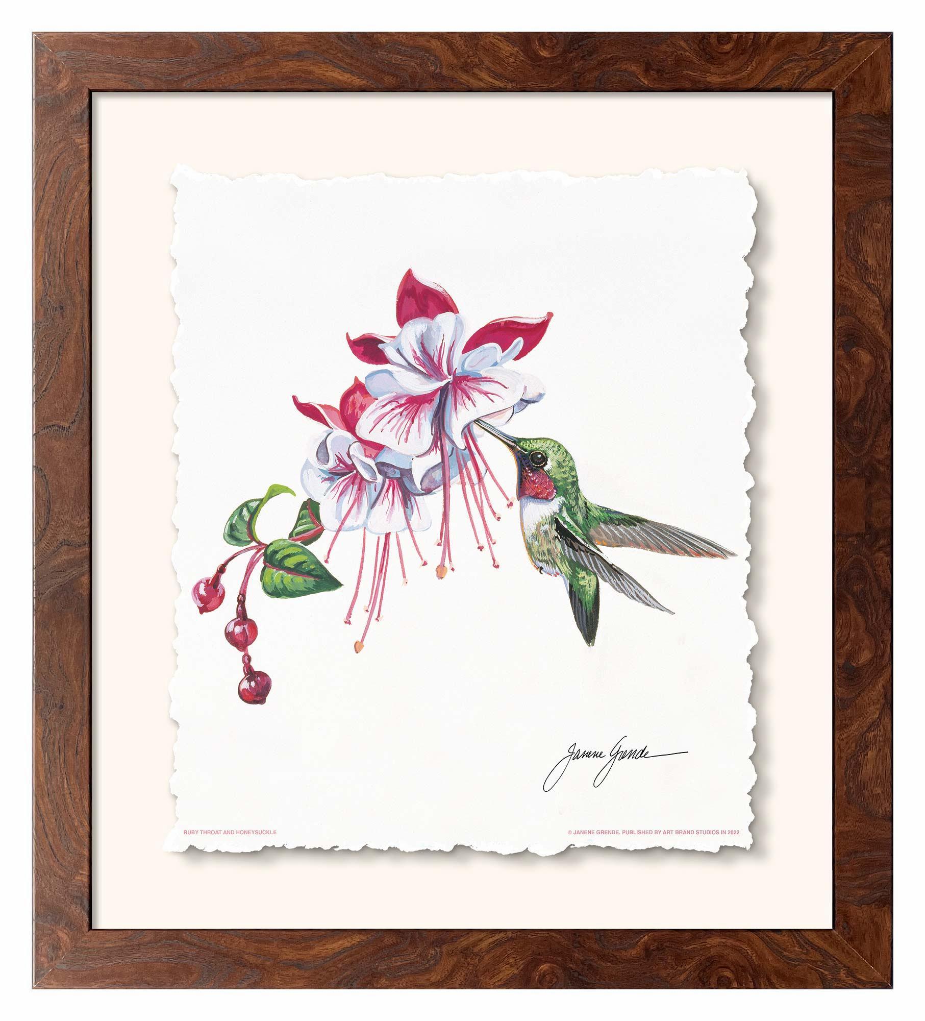 Ruby Throat & Fuschia Deckled Edge Paper Print - Wild Wings