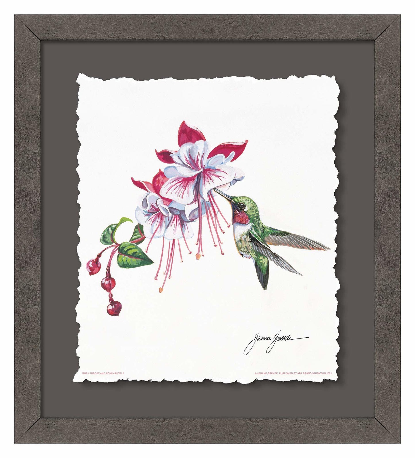 Ruby Throat & Fuschia Deckled Edge Paper Print - Wild Wings
