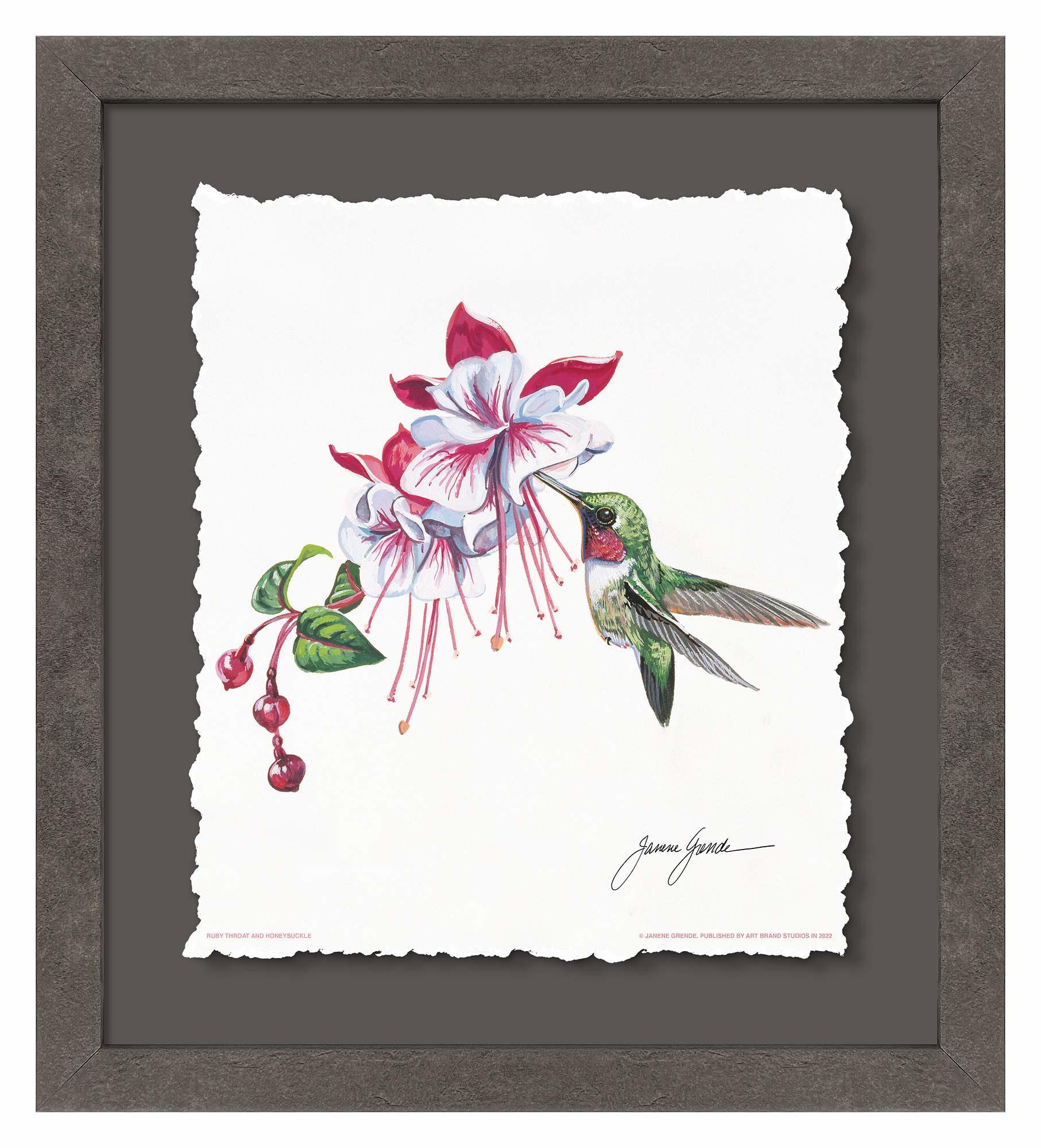 Ruby Throat & Fuschia Deckled Edge Paper Print - Wild Wings