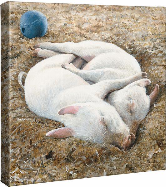 Sawdust Cradle—Baby Pigs Gallery Wrapped Canvas - Wild Wings