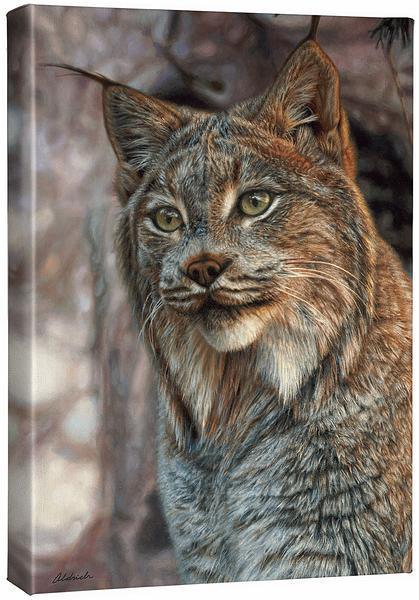 Snow Queen—Lynx Gallery Wrapped Canvas - Wild Wings