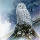 Snow Storm—Snowy Owl Art Print - Wild Wings
