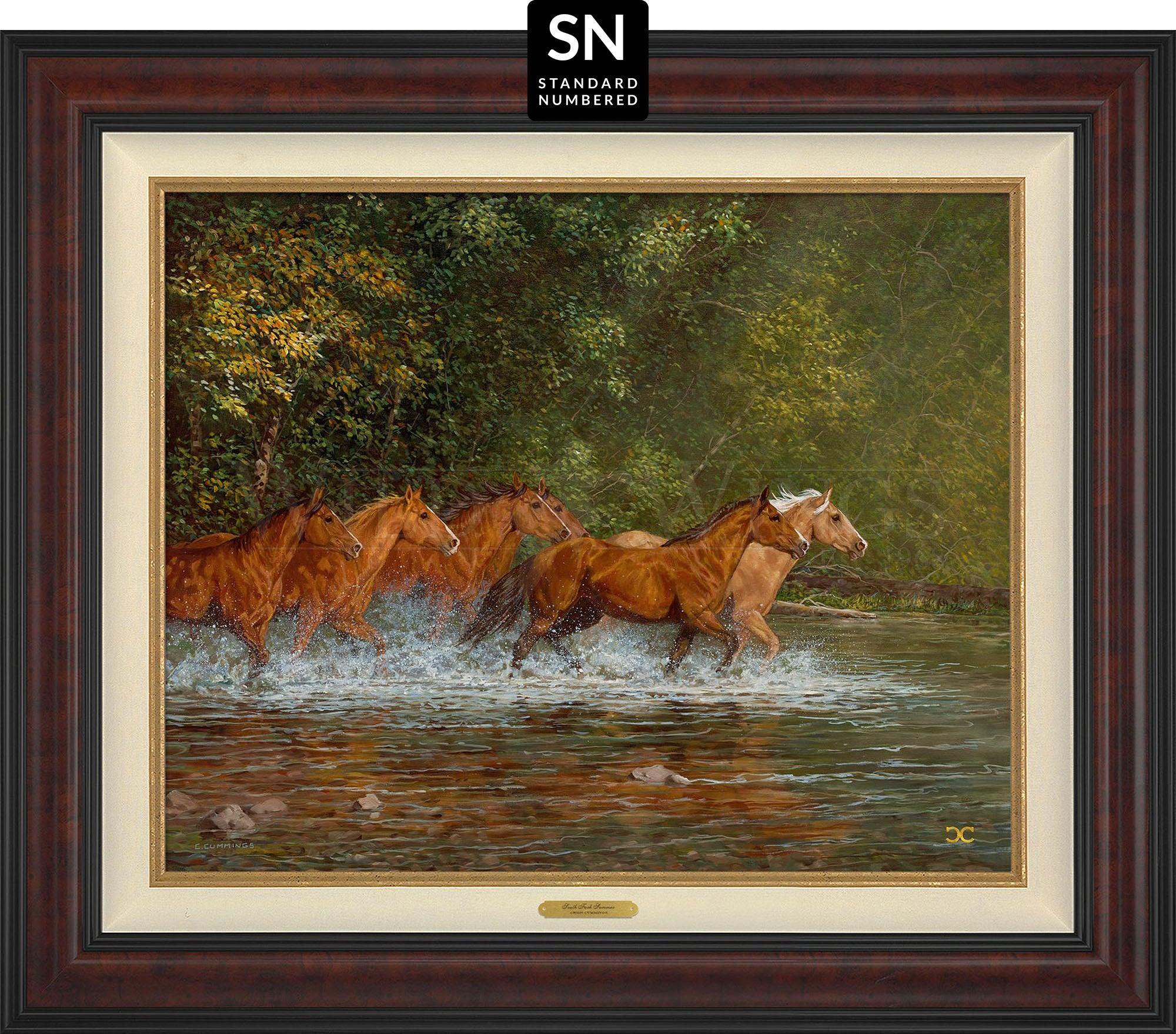 south-fork-summer-F195715381.