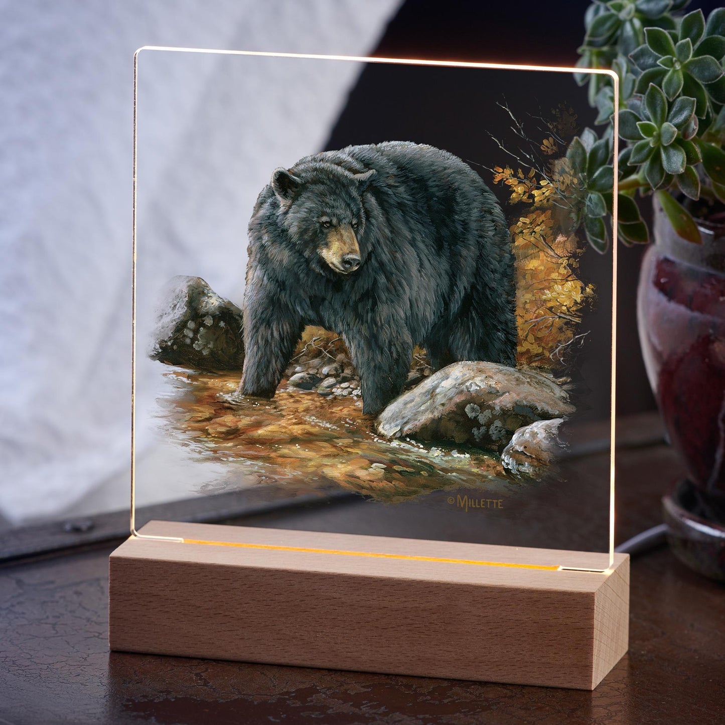 Streamside—Black Bear Acrylic Night Light - Wild Wings