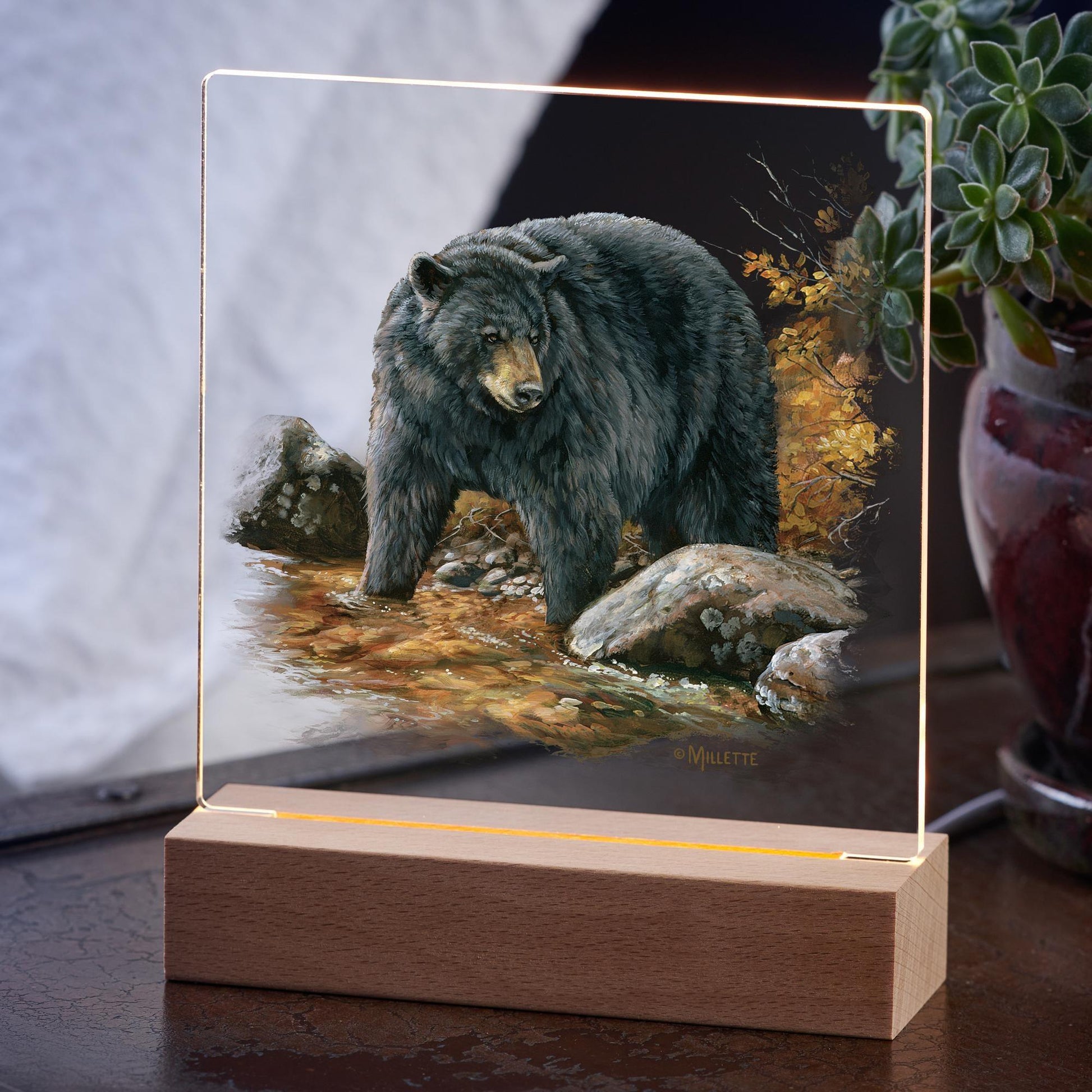 Streamside—Black Bear Acrylic Night Light - Wild Wings