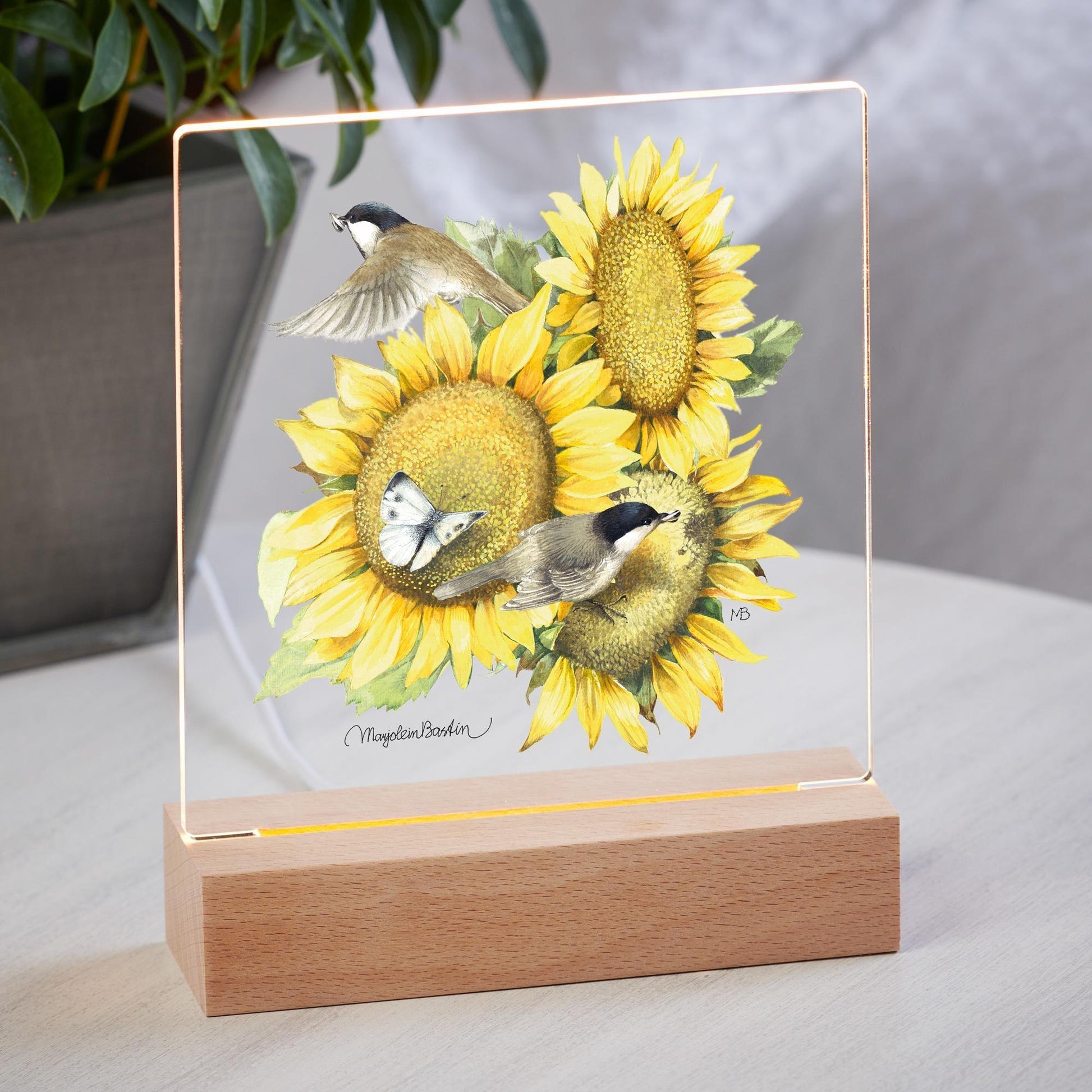 Sunflowers Acrylic Night Light - Wild Wings