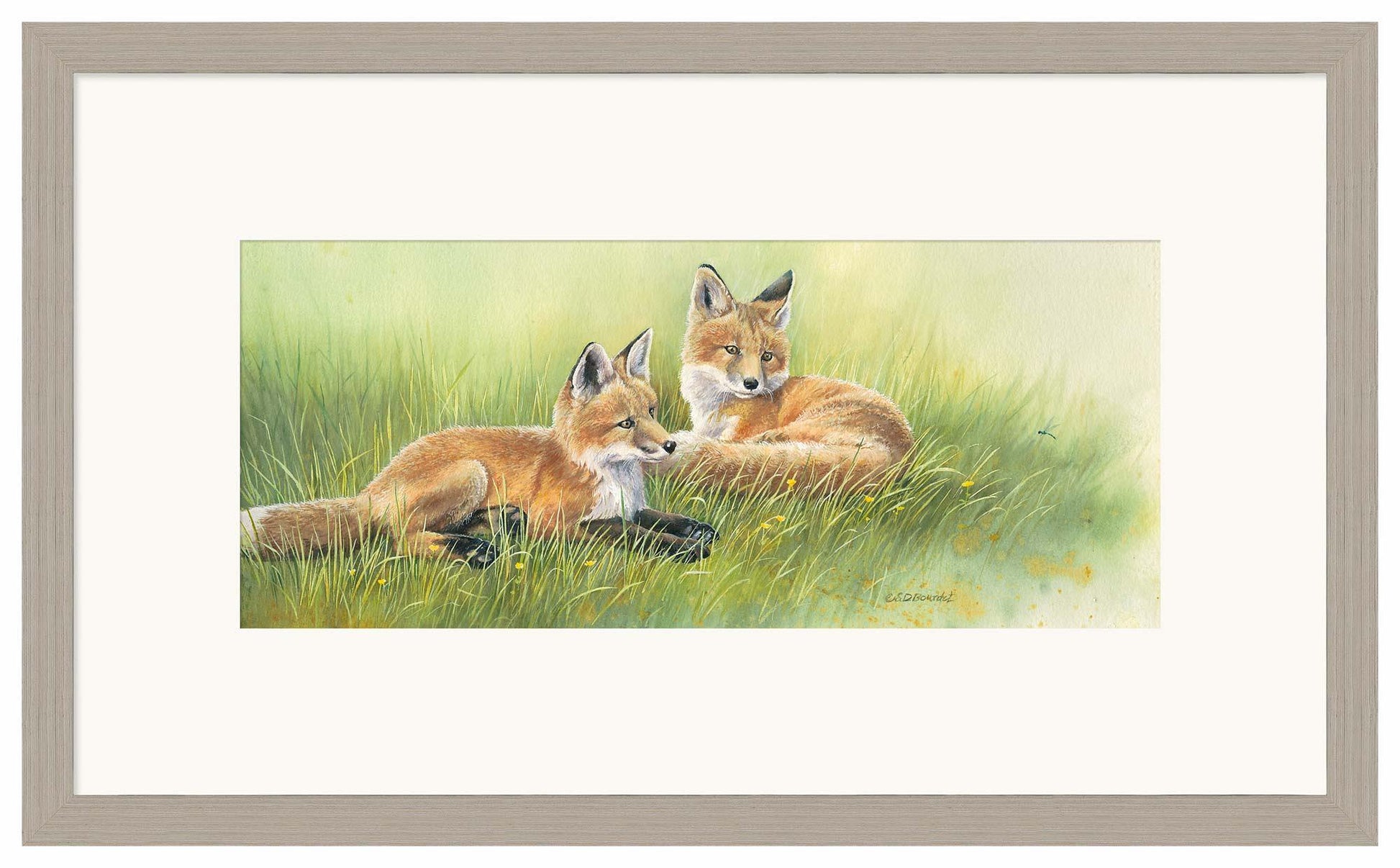Time Out—Fox Kits Limited Edition Paper Print - Wild Wings
