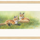 Time Out—Fox Kits Limited Edition Paper Print - Wild Wings