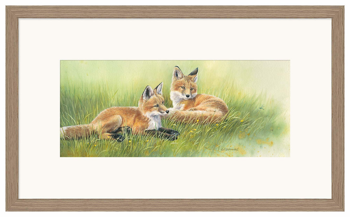 Time Out—Fox Kits Limited Edition Paper Print - Wild Wings