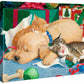 Too Much Fun—Puppy & Kittens Gallery Wrapped Canvas - Wild Wings