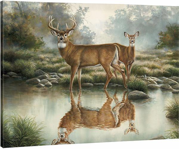 Tranquil Waters—Whitetail Deer Gallery Wrapped Canvas - Wild Wings