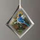 December Dawn - Bluejay Tear Drop Glass Ornament - Wild Wings