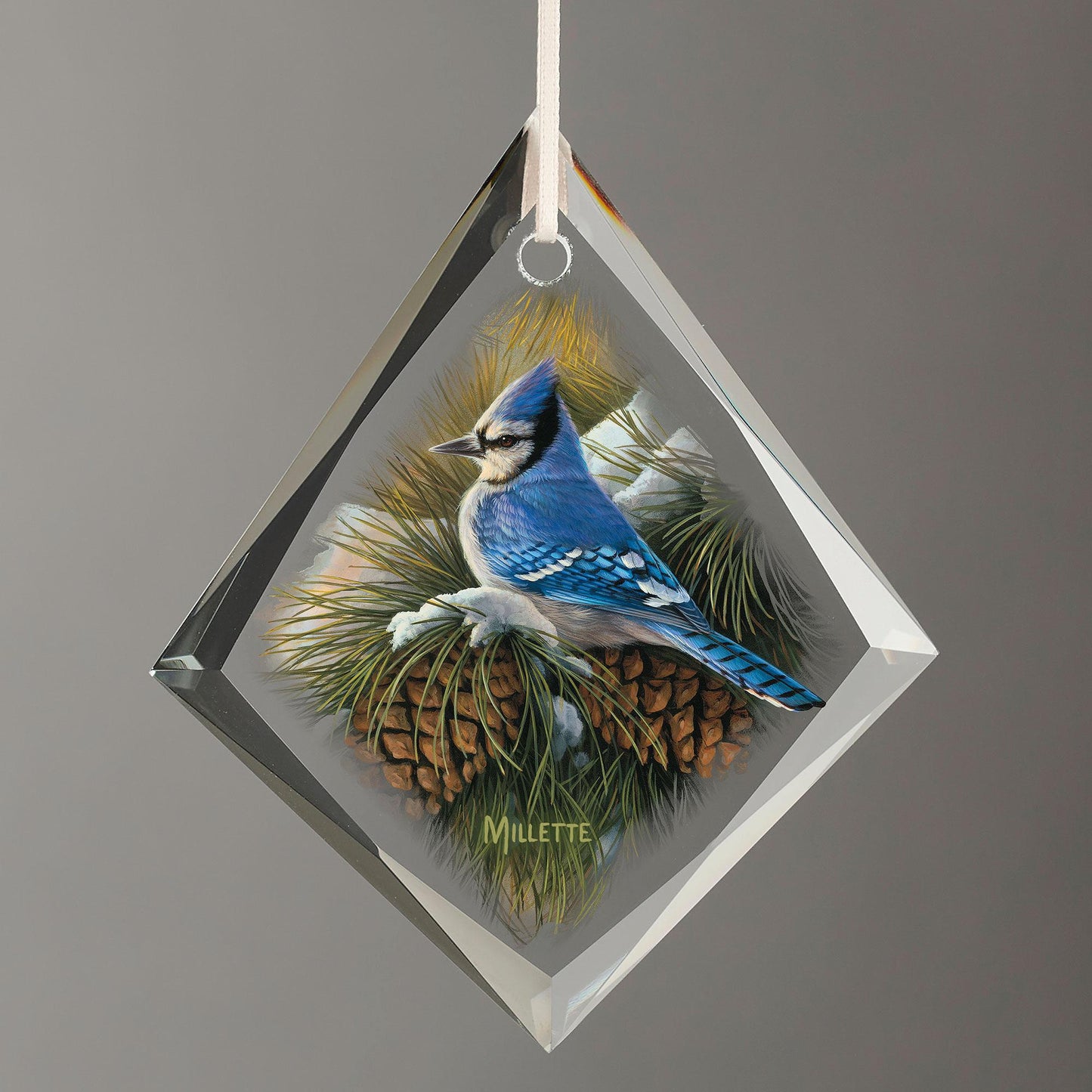 December Dawn - Bluejay Tear Drop Glass Ornament - Wild Wings
