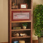 Trout Cabinet - Wild Wings
