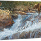 Wilderness Walk—Grizzly Gallery Wrapped Canvas - Wild Wings