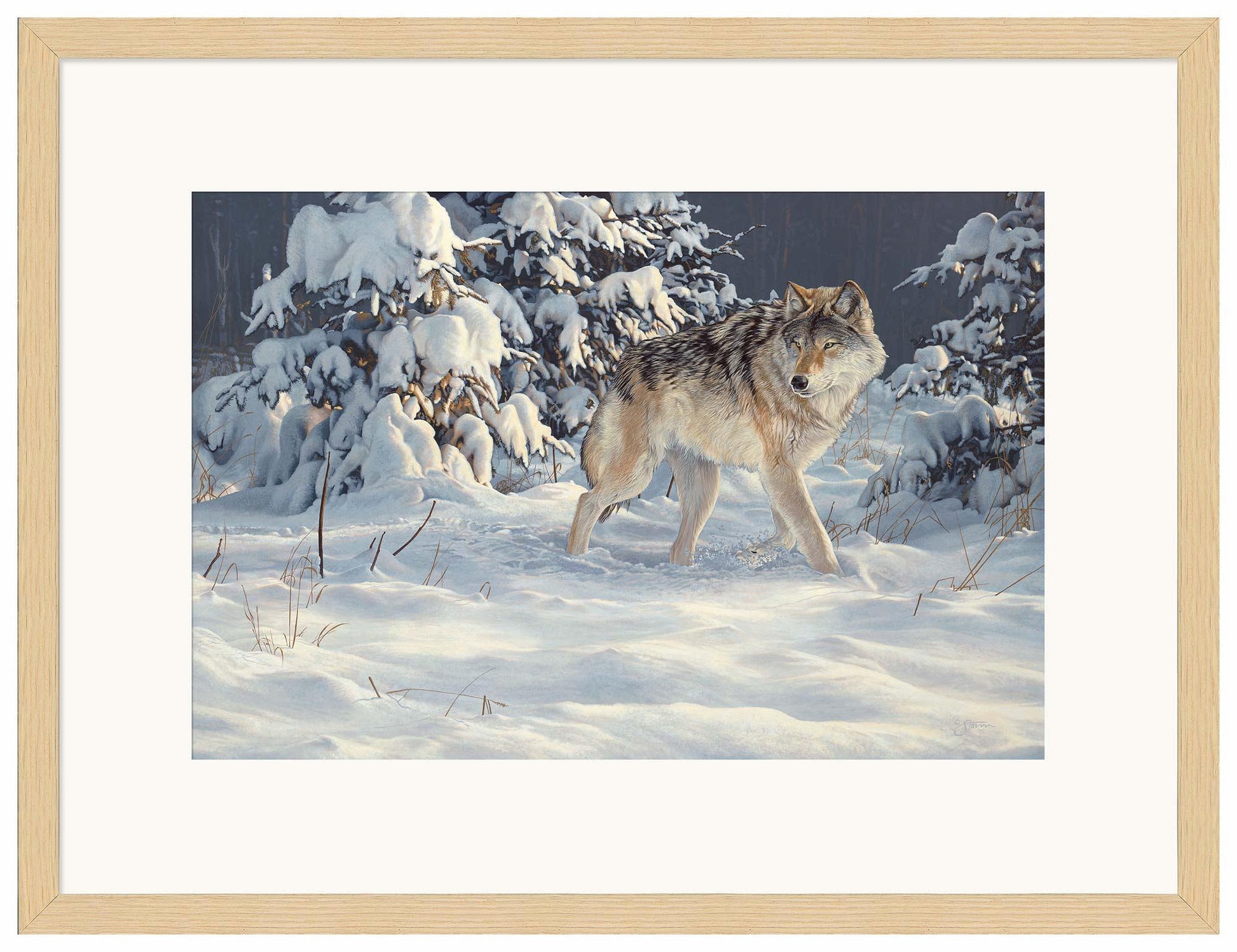 Winter Stroll — Gray Wolf Limited Edition Paper Print - Wild Wings