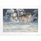 Winter Stroll — Gray Wolf Limited Edition Paper Print - Wild Wings
