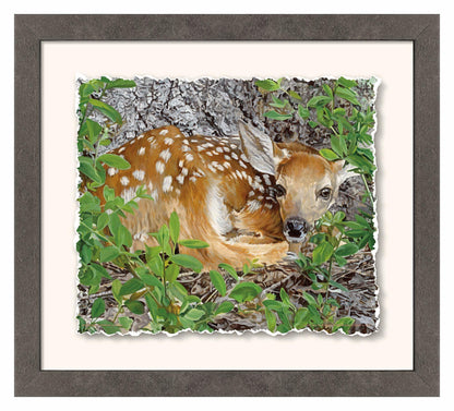 Woodland Wonder—Whitetail Fawn Deckled Edge Paper Print - Wild Wings