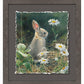 Young Cottontail Deckled Edge Paper Print - Wild Wings