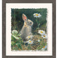 Young Cottontail Deckled Edge Paper Print - Wild Wings